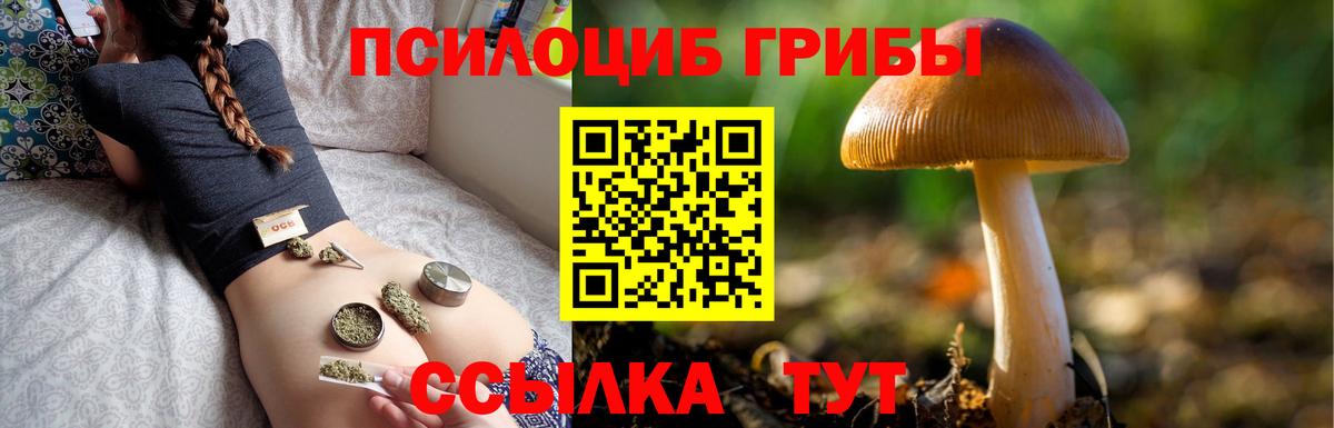 Галлюциногенные грибы GOLDEN TEACHER Сегежа